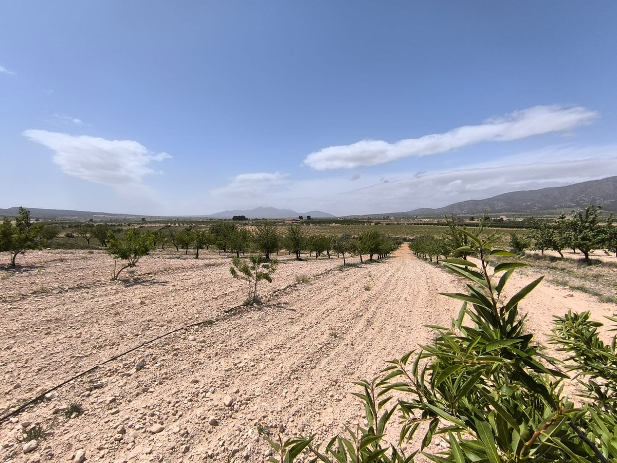 Se vende Terreno Rustico  en Costa Blanca, Alicante, España