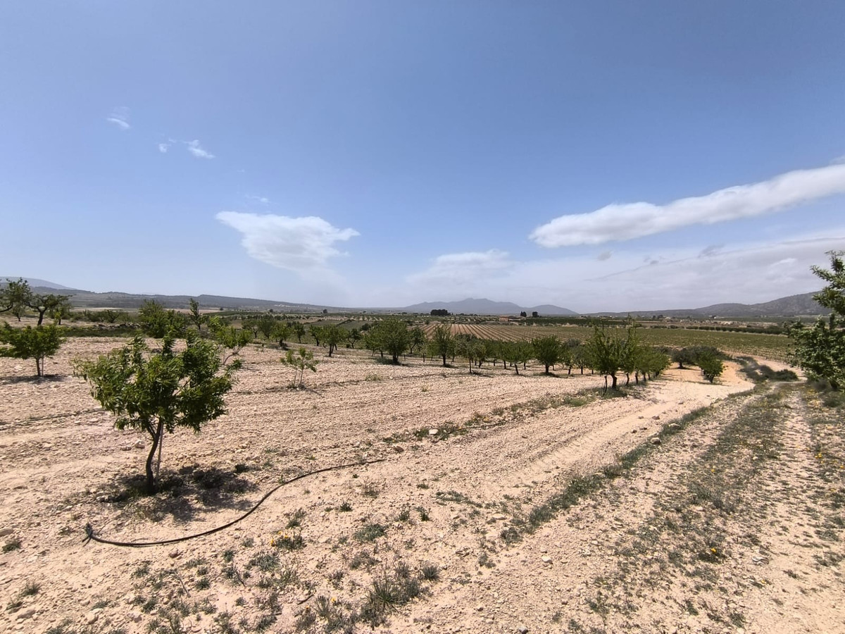Se vende Terreno Rustico  en Costa Blanca, Alicante, España