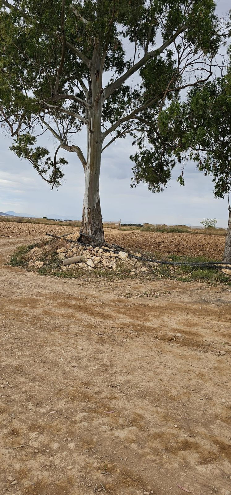 Se vende Terreno Comercial  en Costa Calida, Murcia, España