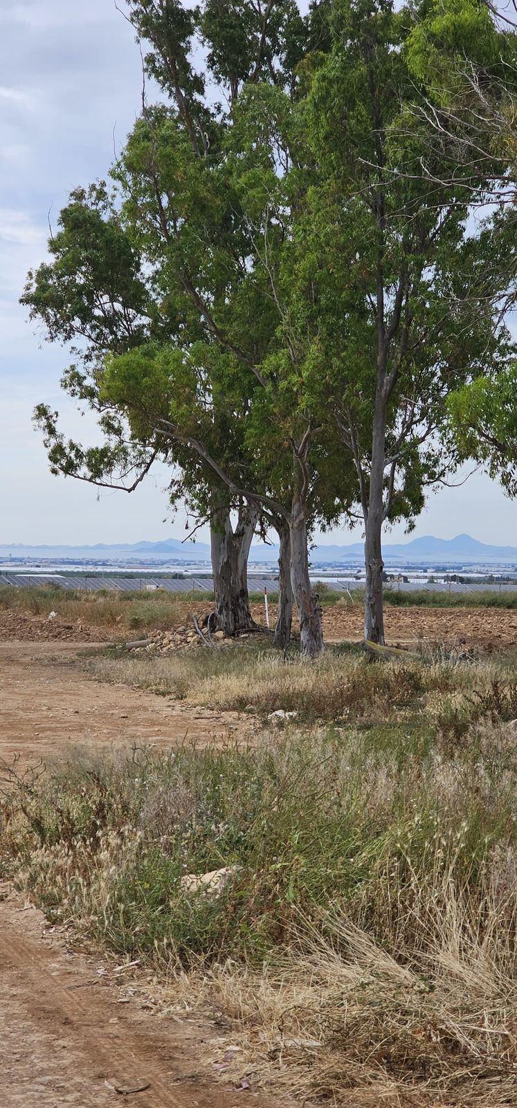 Se vende Terreno Comercial  en Costa Calida, Murcia, España