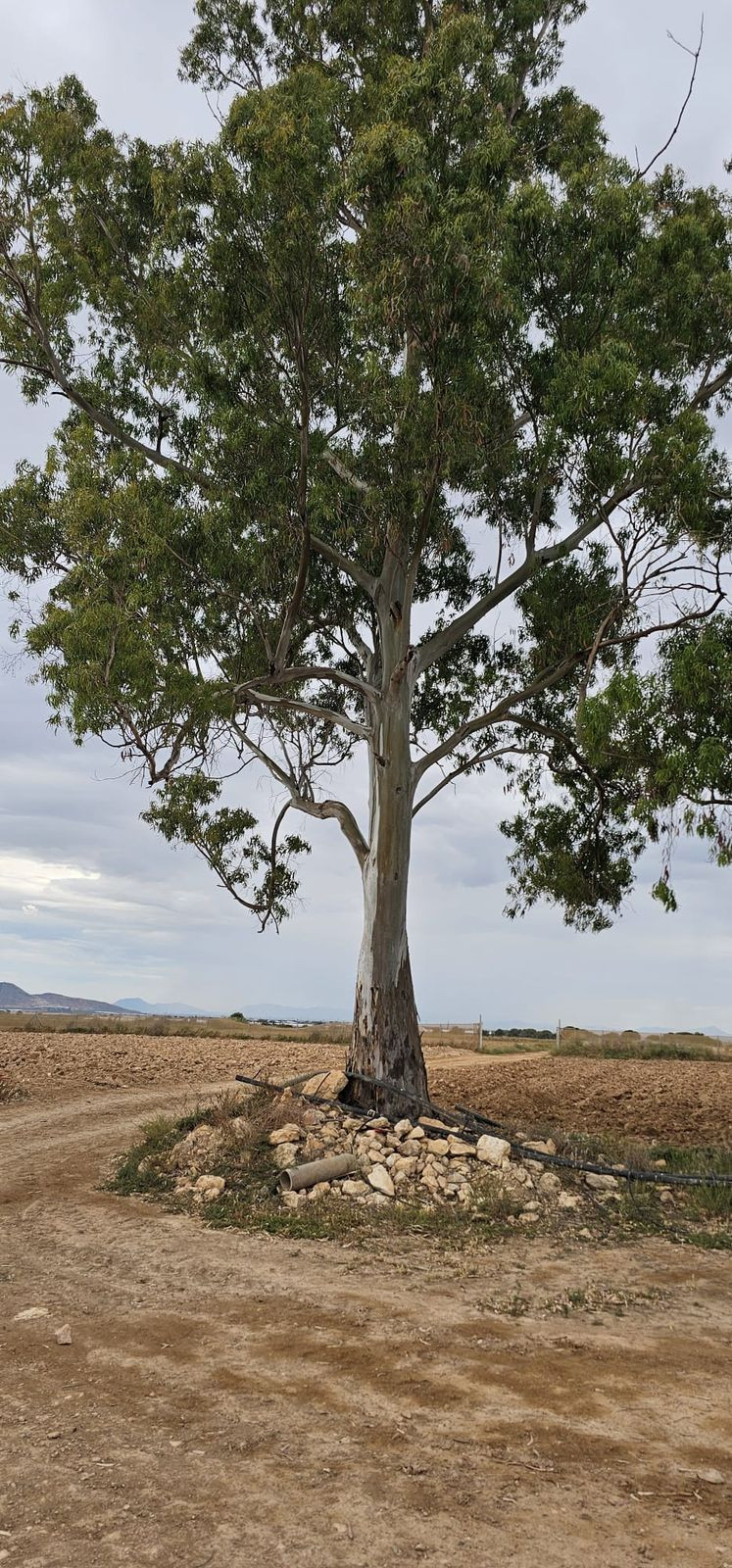 Se vende Terreno Comercial  en Costa Calida, Murcia, España
