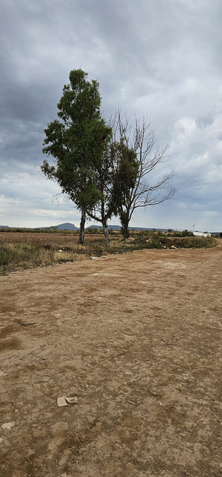 Se vende Terreno Comercial  en Costa Calida, Murcia, España
