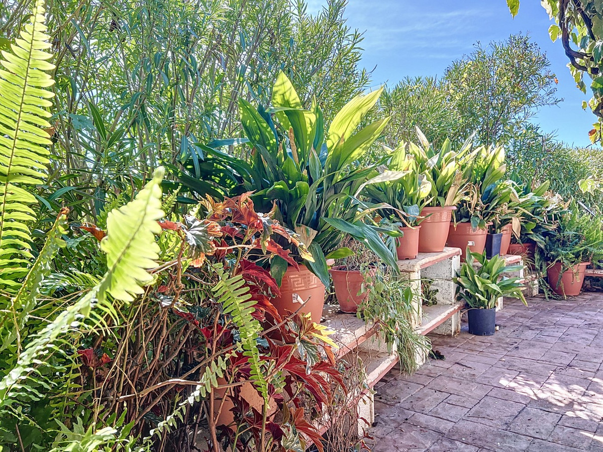 Se vende Villa - Chalet de 3 dormitorios en Costa Del Sol East, Málaga, España