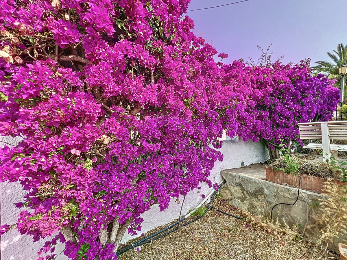 Se vende Villa - Chalet de 5 dormitorios en Costa Del Sol East, Málaga, España