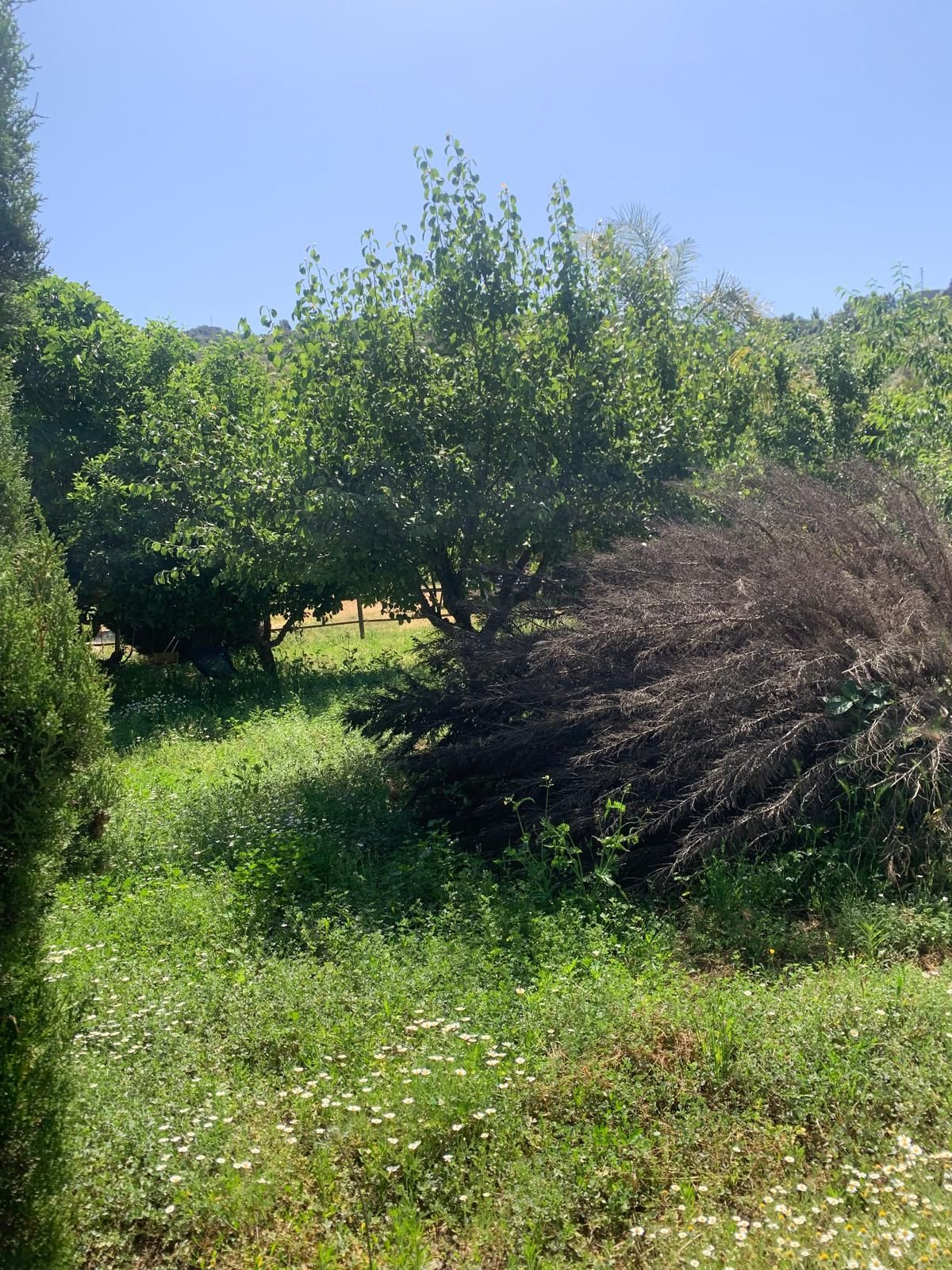 Se vende Finca - Cortijo de 1 dormitorios en Costa Del Sol, Málaga, España