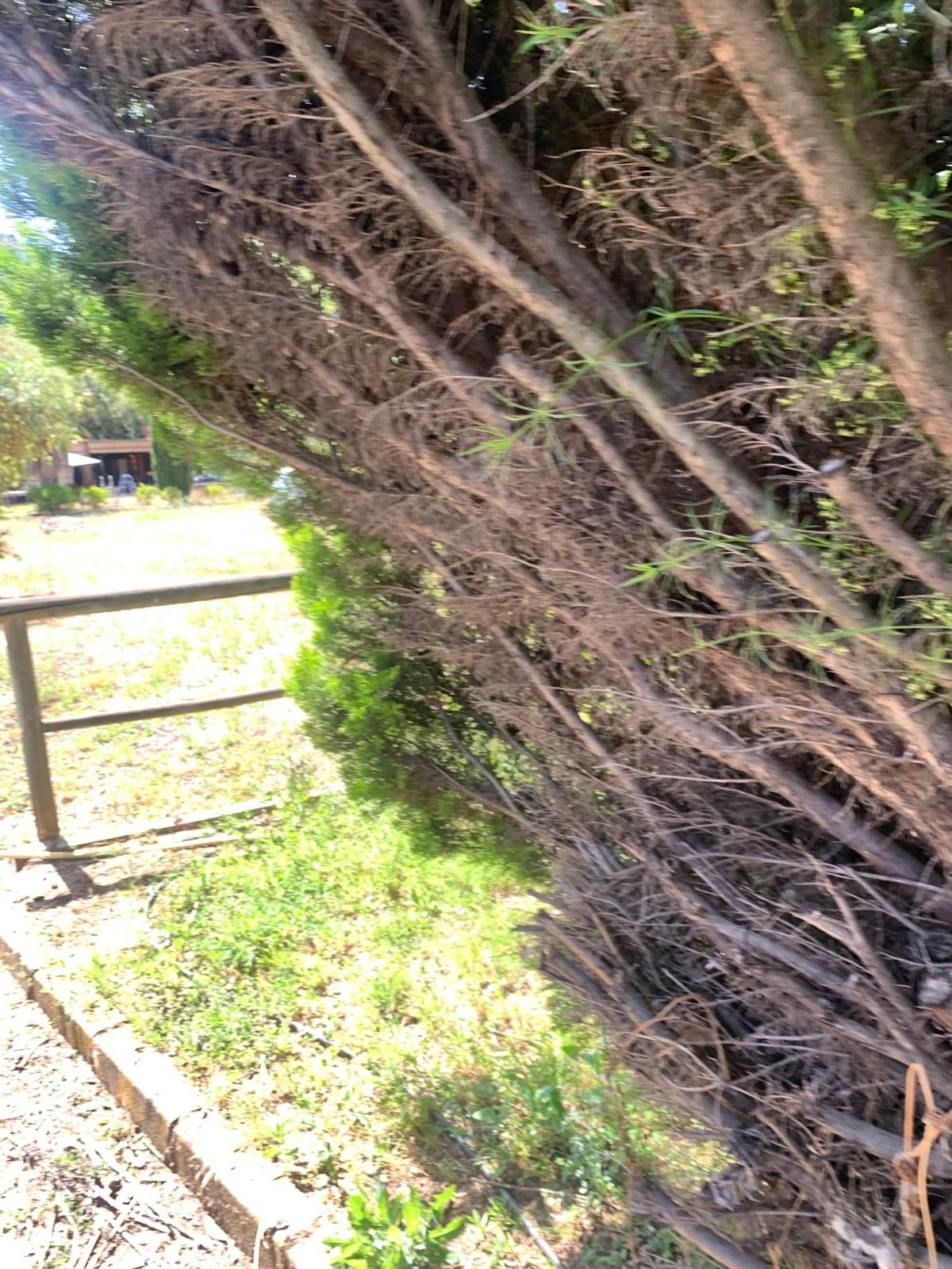 Se vende Finca - Cortijo de 1 dormitorios en Costa Del Sol, Málaga, España