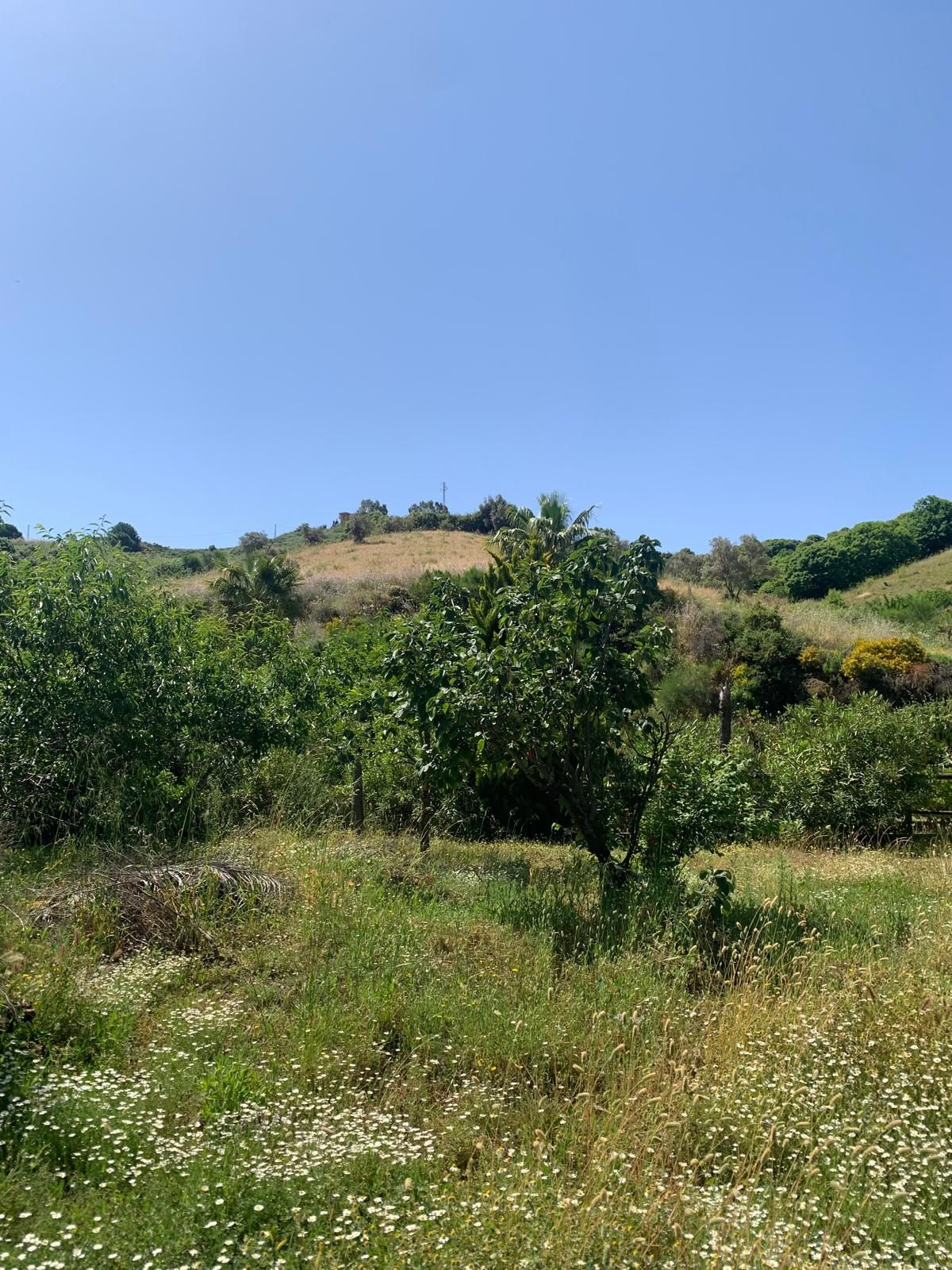 Se vende Finca - Cortijo de 1 dormitorios en Costa Del Sol, Málaga, España