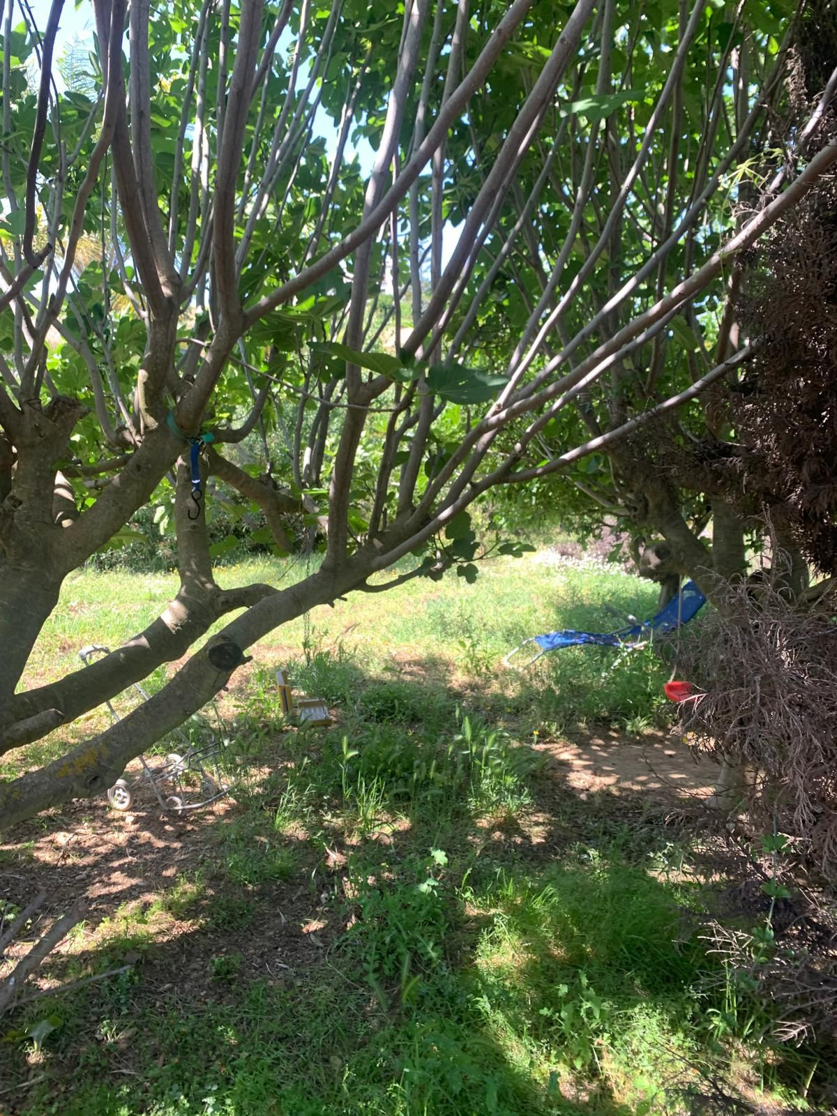 Se vende Finca - Cortijo de 1 dormitorios en Costa Del Sol, Málaga, España