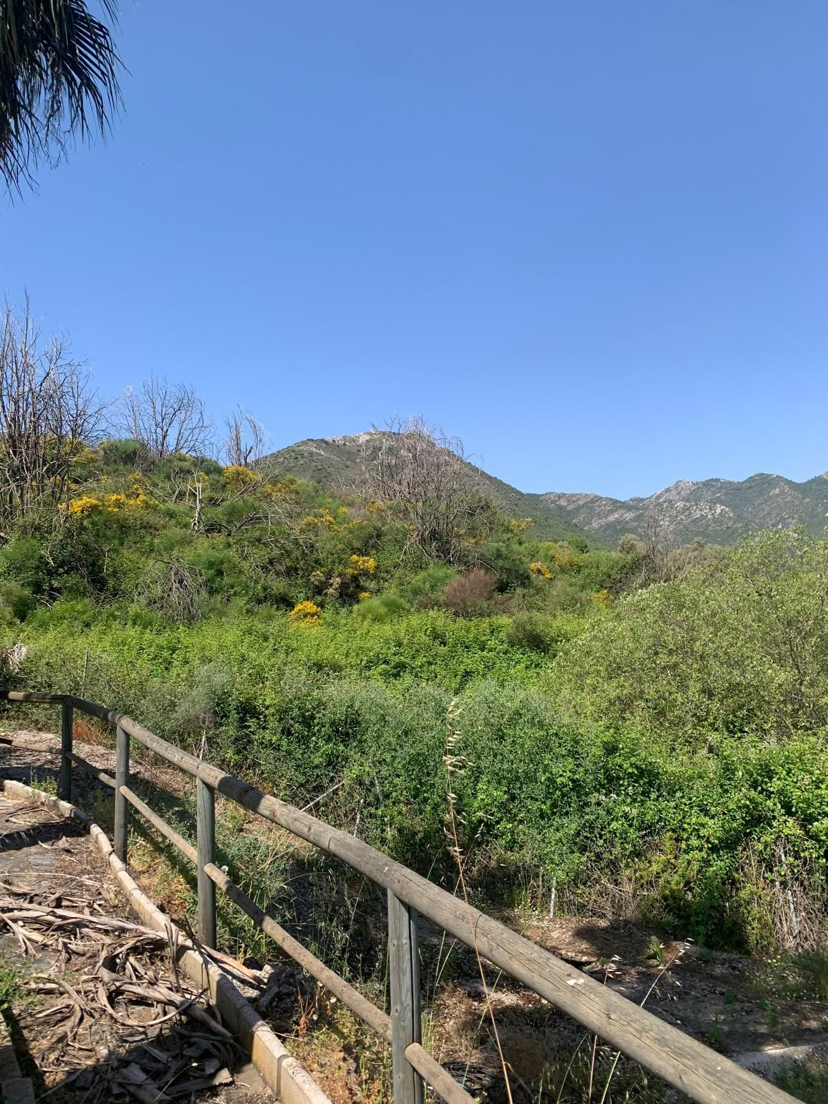 Se vende Finca - Cortijo de 1 dormitorios en Costa Del Sol, Málaga, España