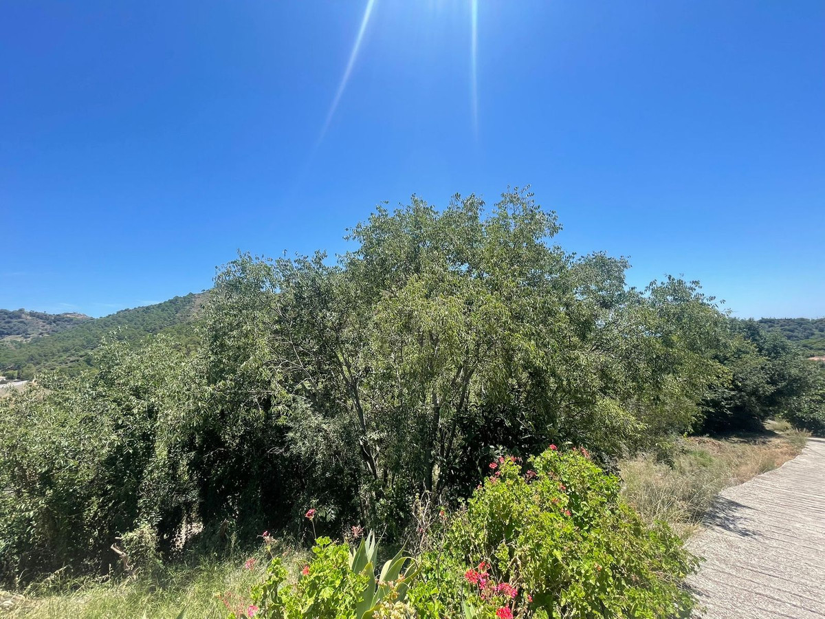 Se vende Terreno Rustico  en Costa Del Sol, Málaga, España