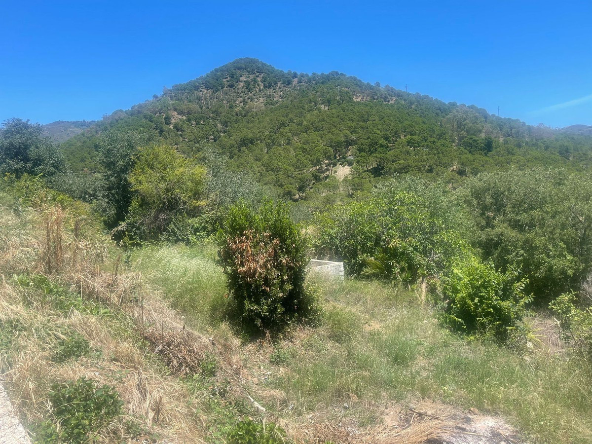 Se vende Terreno Rustico  en Costa Del Sol, Málaga, España