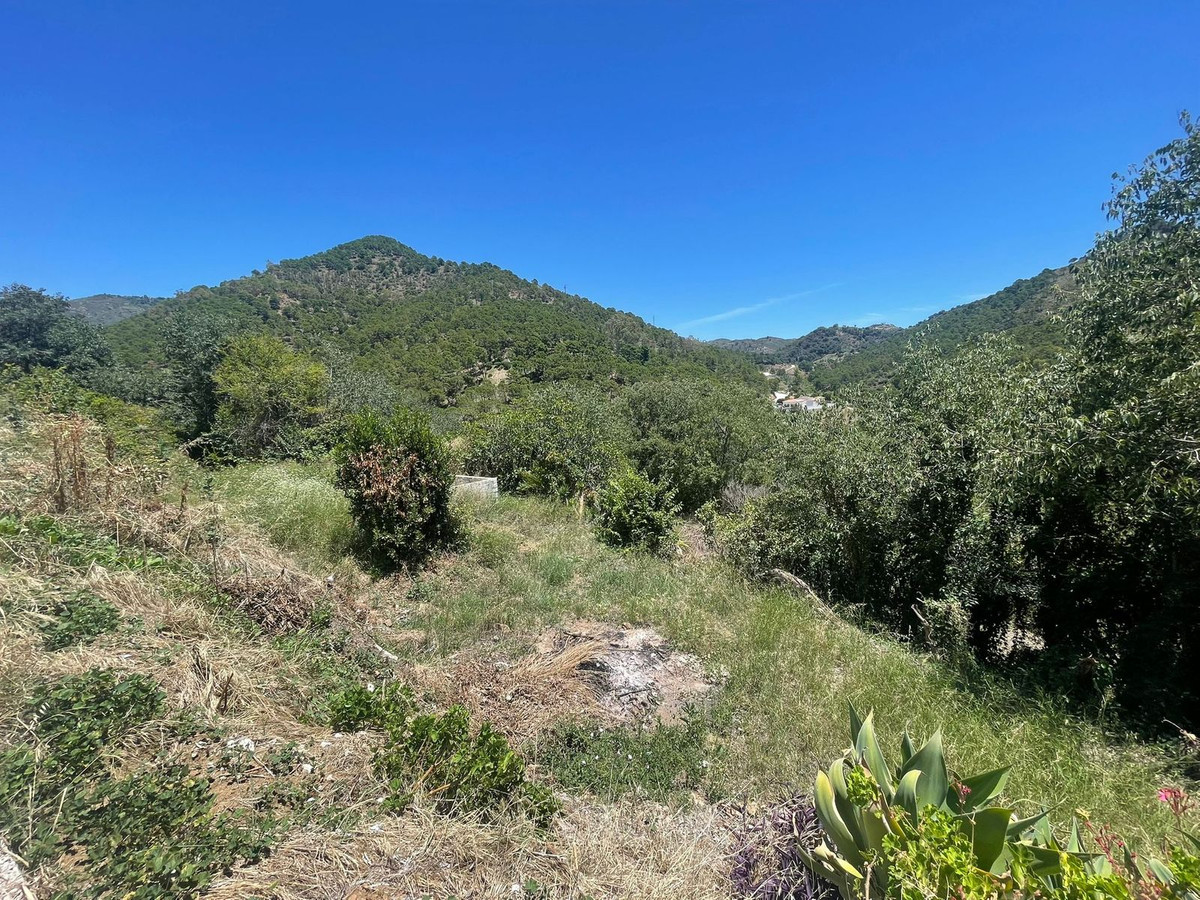 Se vende Terreno Rustico  en Costa Del Sol, Málaga, España