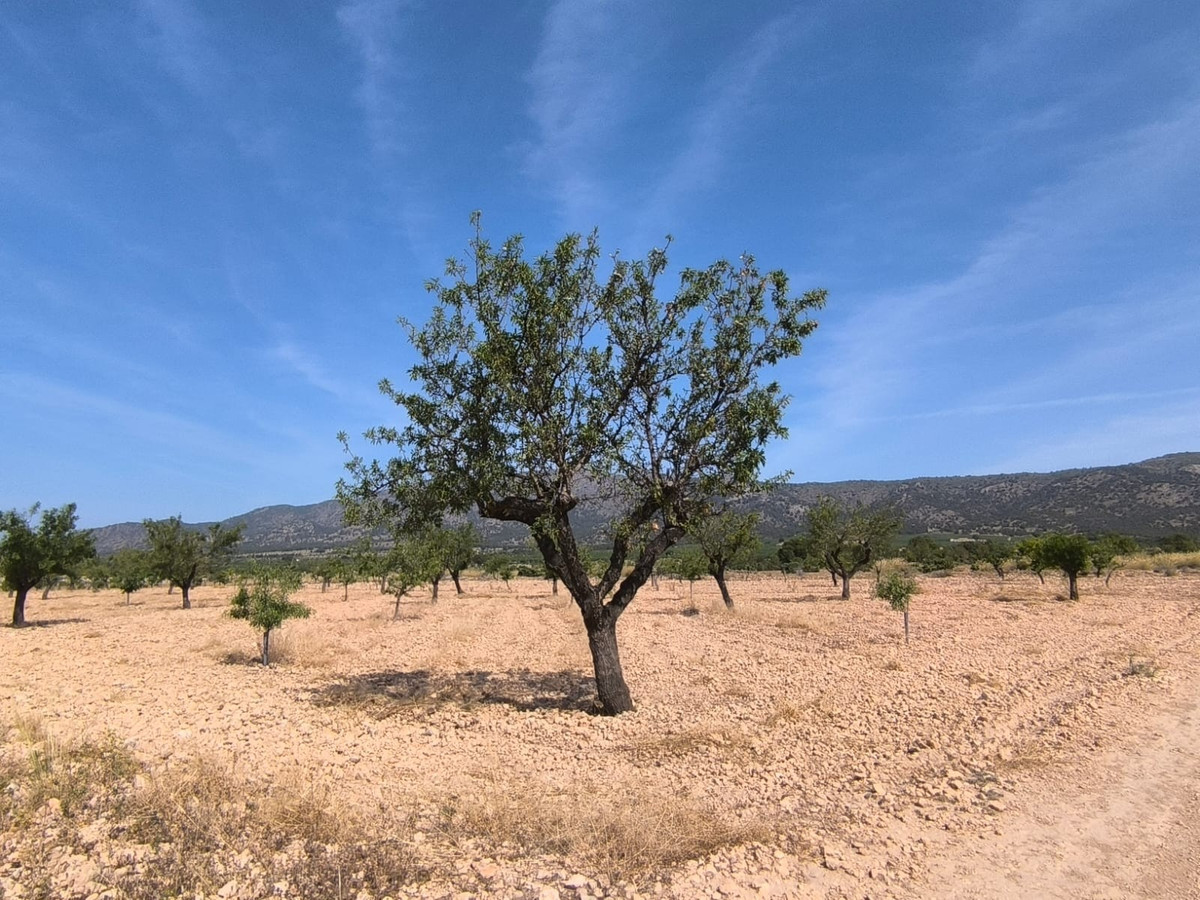 Se vende Terreno Rustico  en Costa Blanca, Alicante, España
