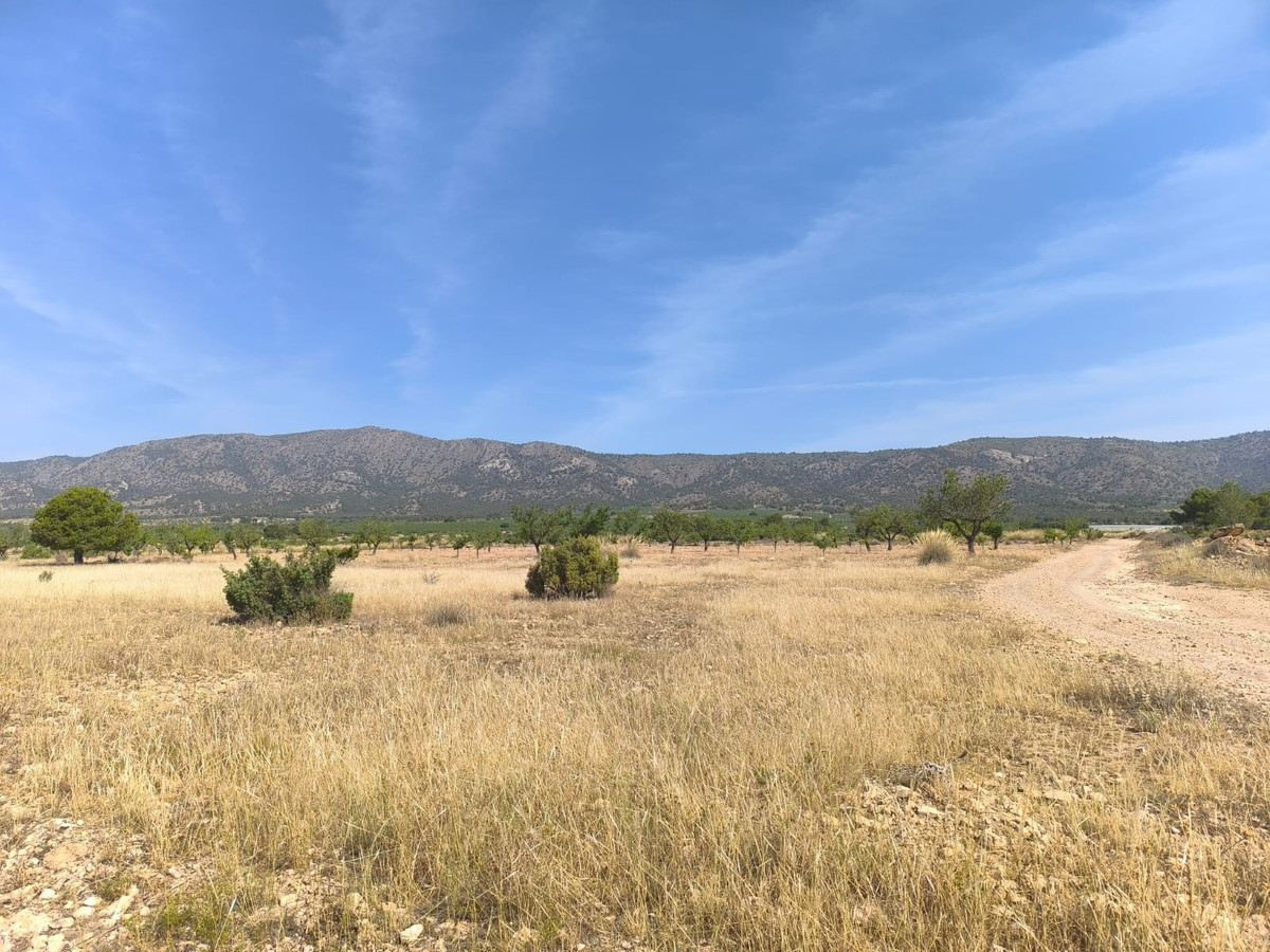 Se vende Terreno Rustico  en Costa Blanca, Alicante, España