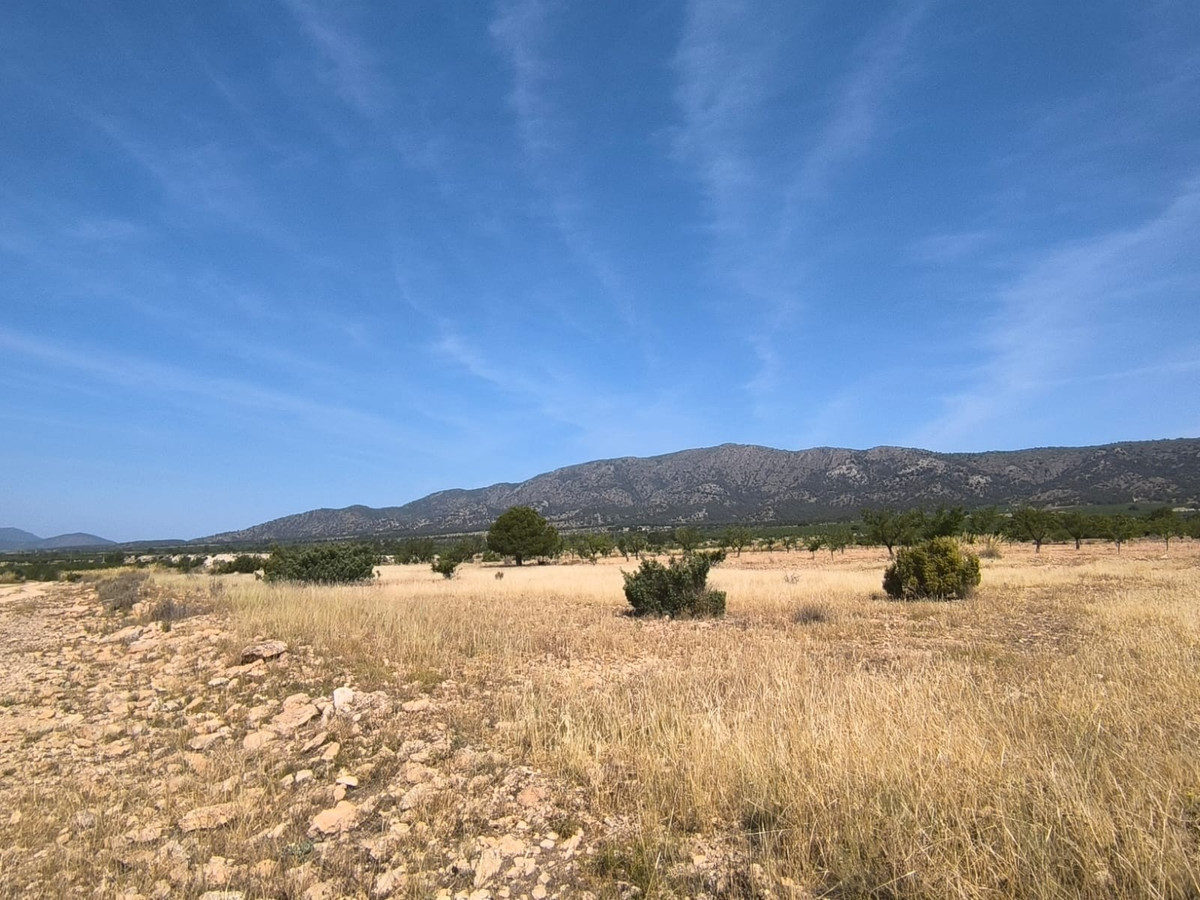 Se vende Terreno Rustico  en Costa Blanca, Alicante, España