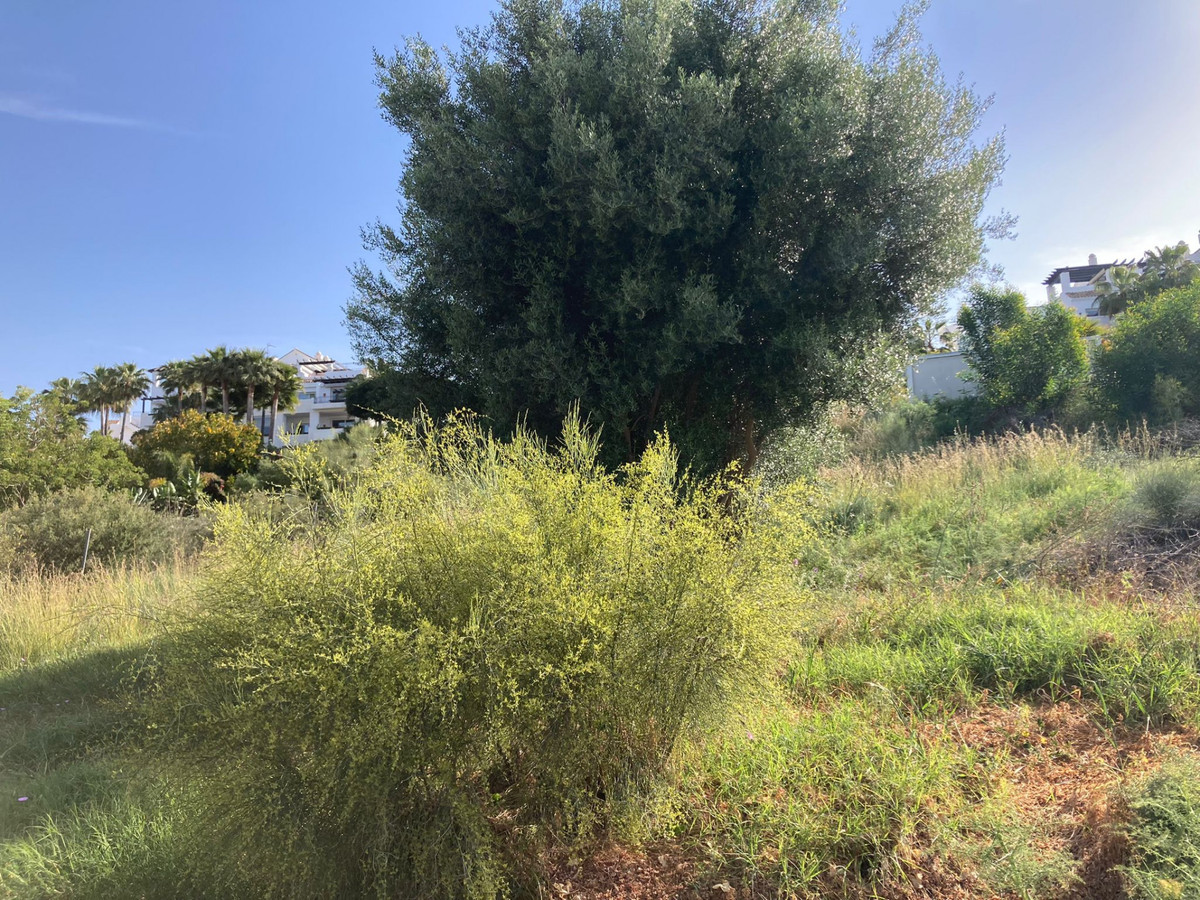 Plots for sale in Benahavís Costa Del Sol, Málaga, Spain