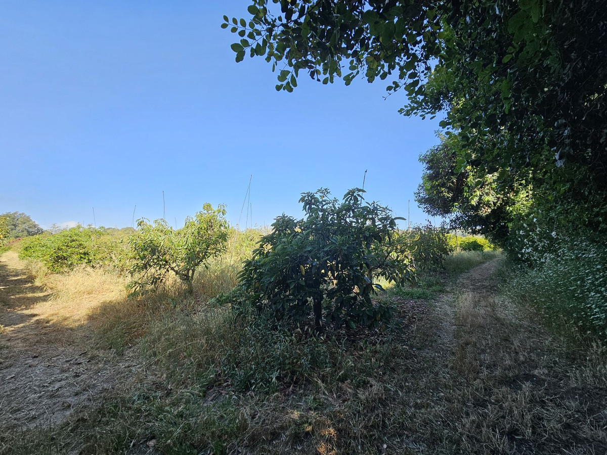 Se vende Granja de 1 dormitorios en Costa Del Sol, Cadiz, España