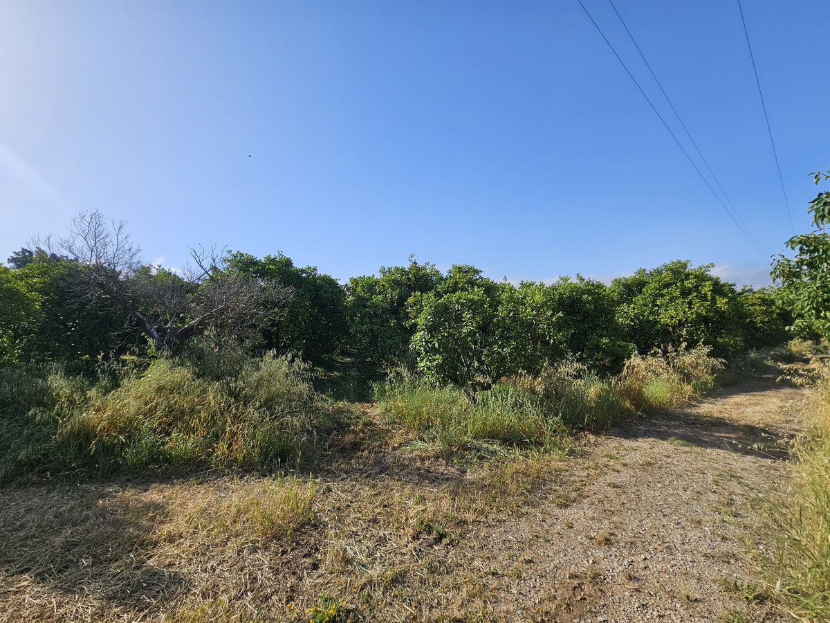 Se vende Granja de 1 dormitorios en Costa Del Sol, Cadiz, España