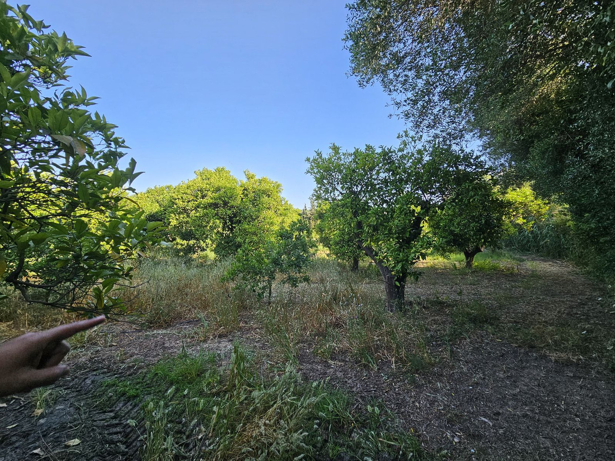 Se vende Granja de 1 dormitorios en Costa Del Sol, Cadiz, España