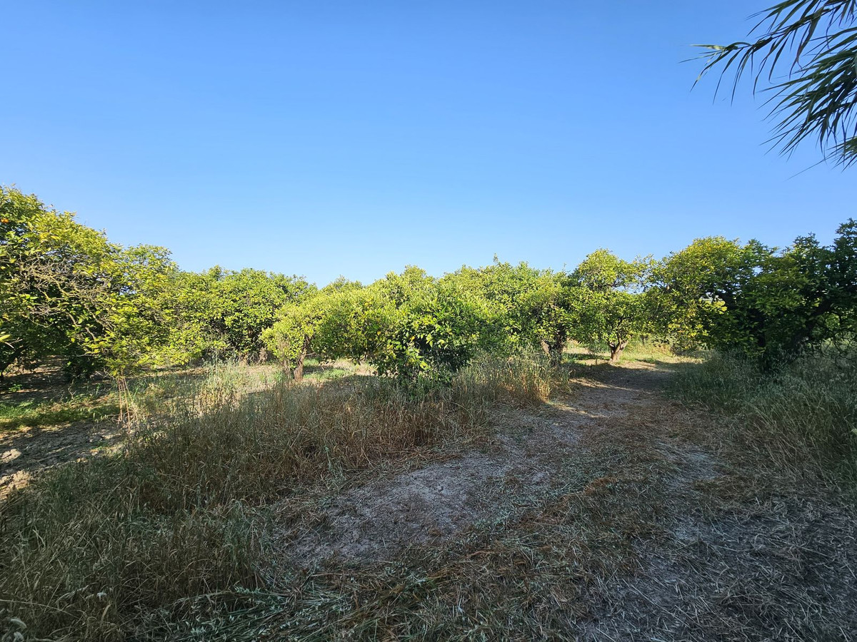 Se vende Granja de 1 dormitorios en Costa Del Sol, Cadiz, España