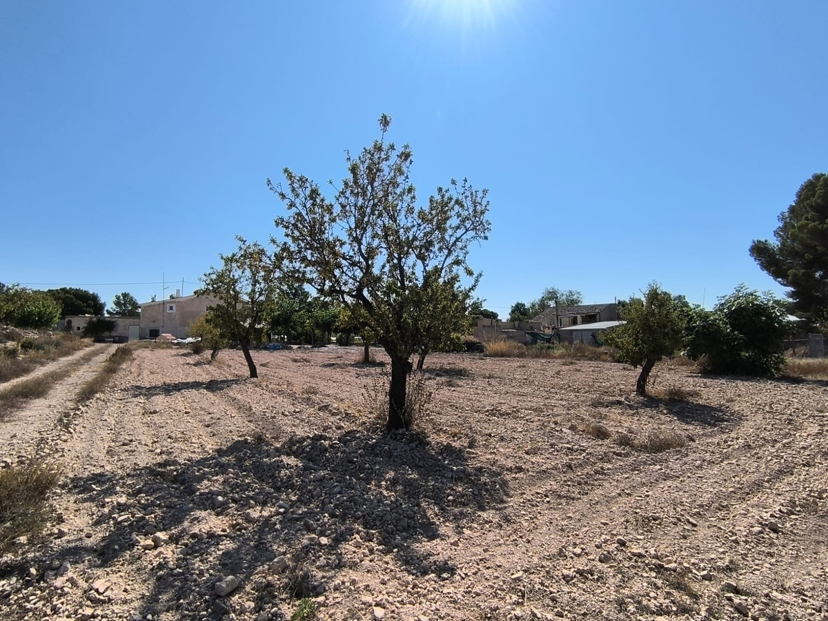 Plots for sale in Monóvar Costa Blanca, Alicante, Spain