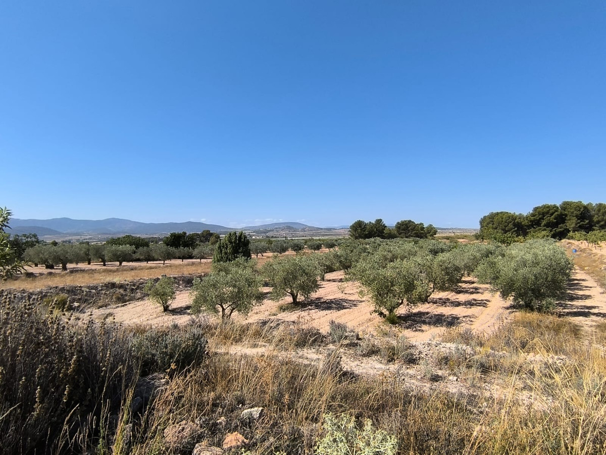 Plots for sale in Monóvar Costa Blanca, Alicante, Spain