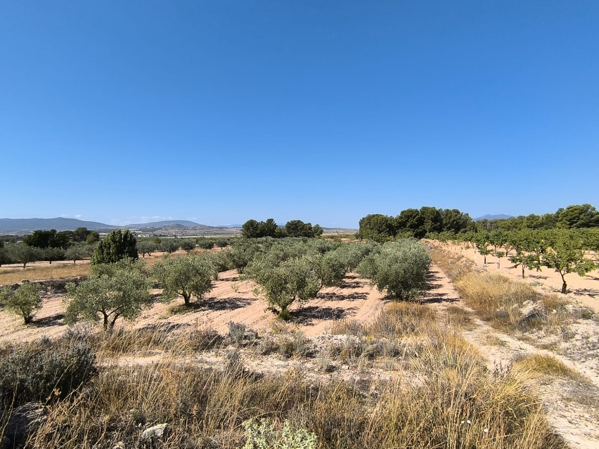 Plots for sale in Monóvar Costa Blanca, Alicante, Spain