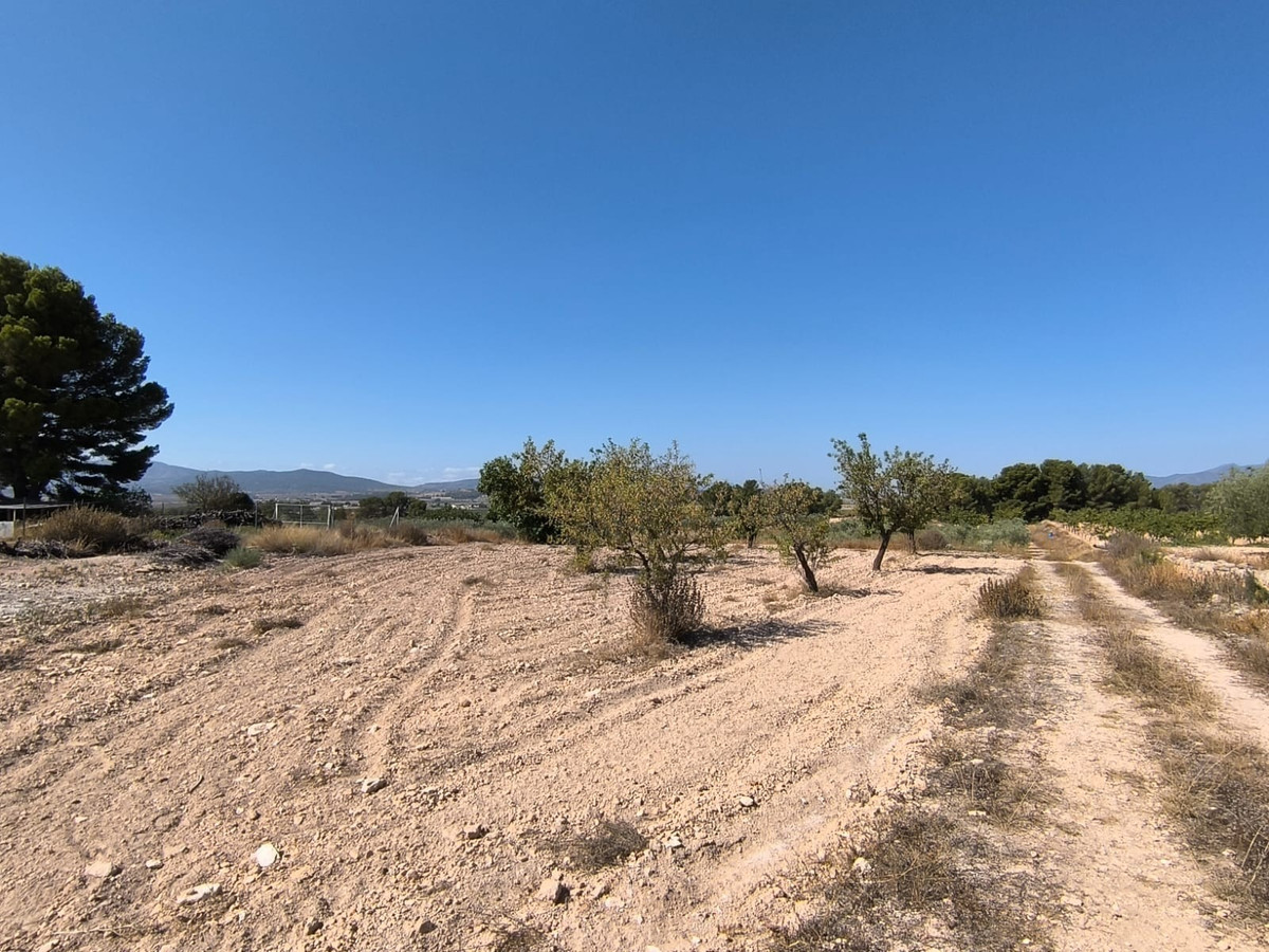 Plots for sale in Monóvar Costa Blanca, Alicante, Spain