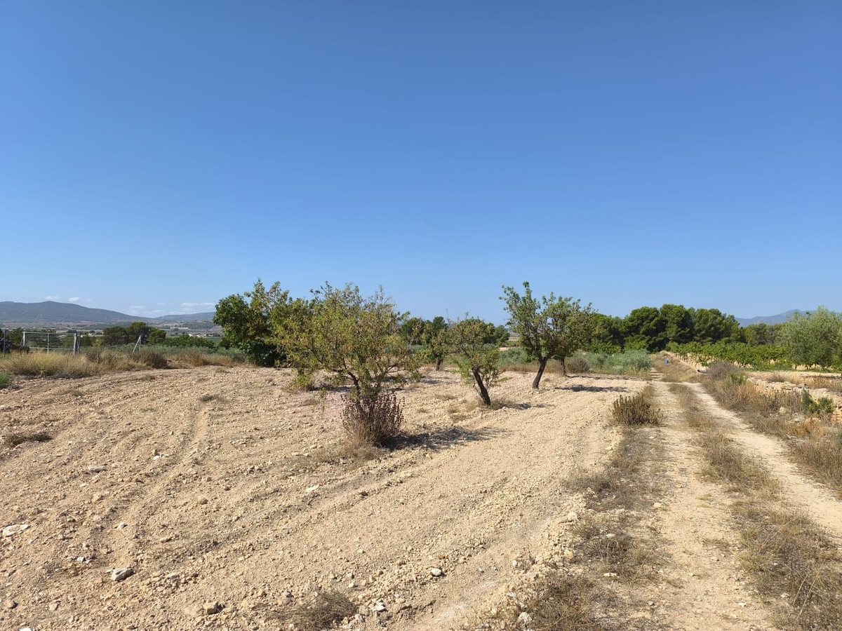 Plots for sale in Monóvar Costa Blanca, Alicante, Spain