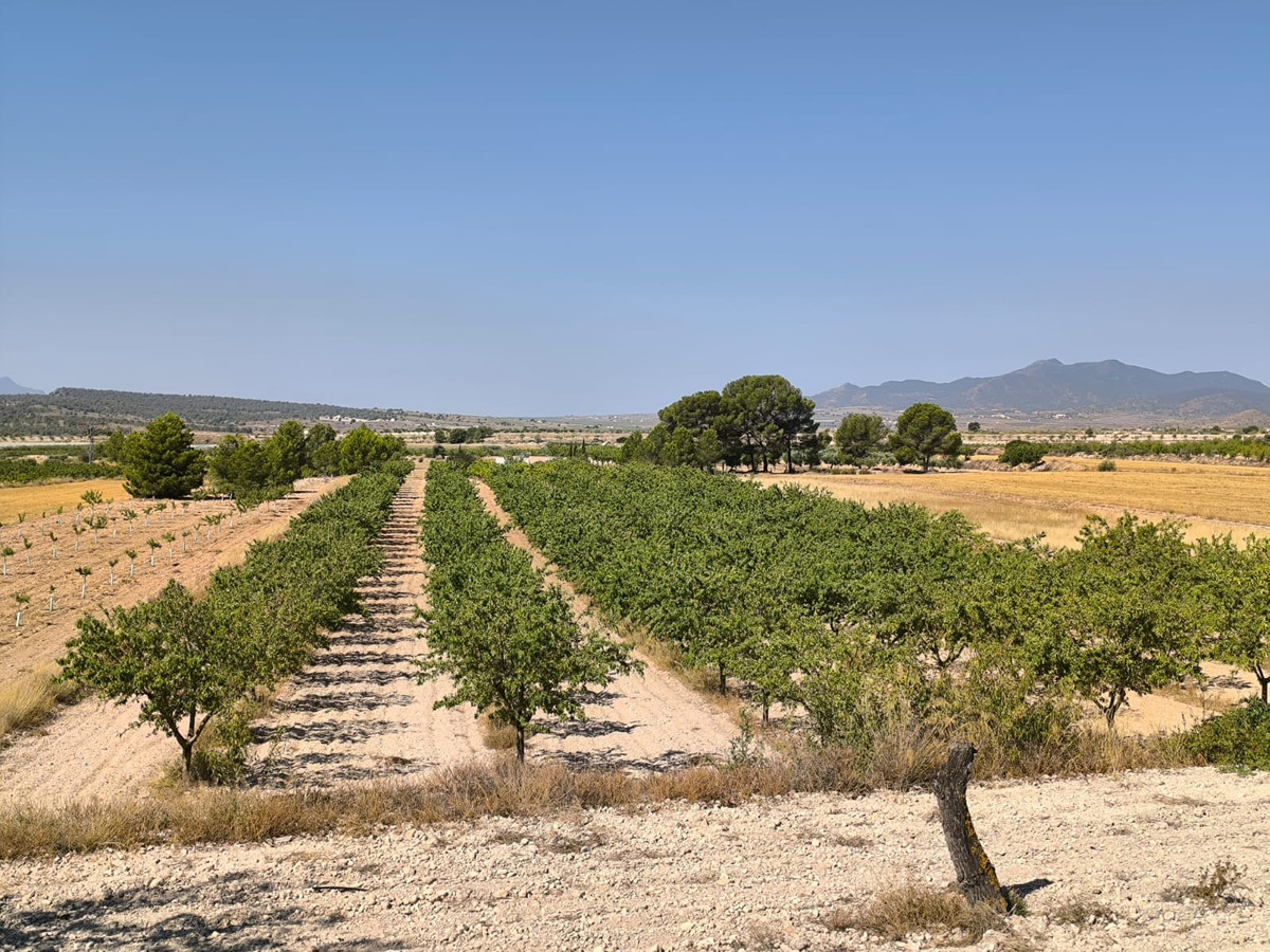 Se vende Terreno Rustico  en Costa Blanca, Alicante, España
