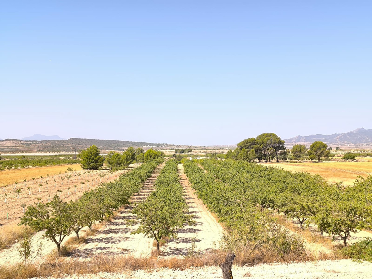 Se vende Terreno Rustico  en Costa Blanca, Alicante, España
