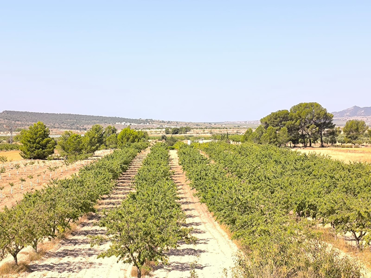 Se vende Terreno Rustico  en Costa Blanca, Alicante, España