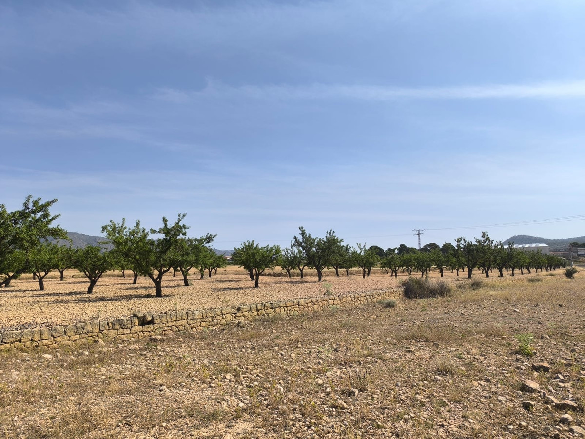 Se vende Terreno Rustico  en Costa Blanca, Alicante, España