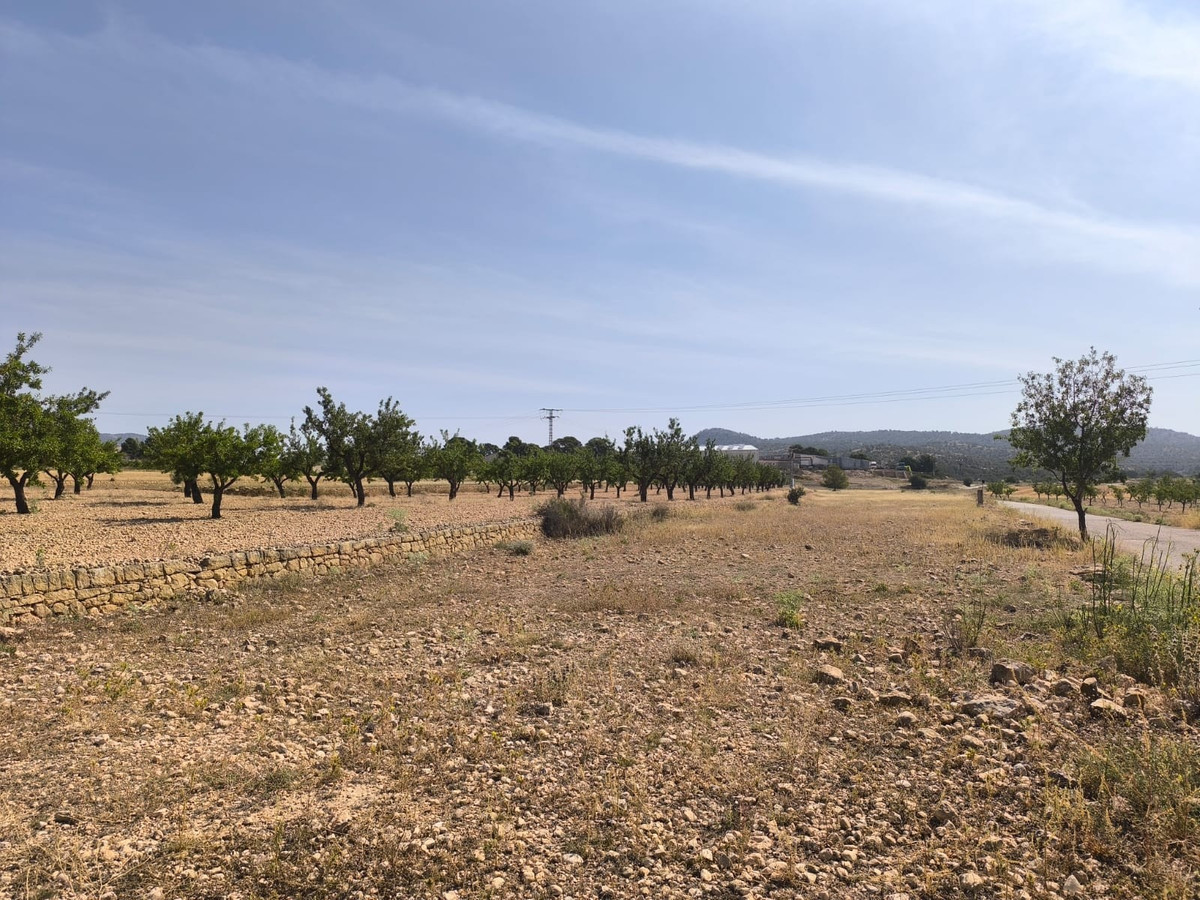 Se vende Terreno Rustico  en Costa Blanca, Alicante, España