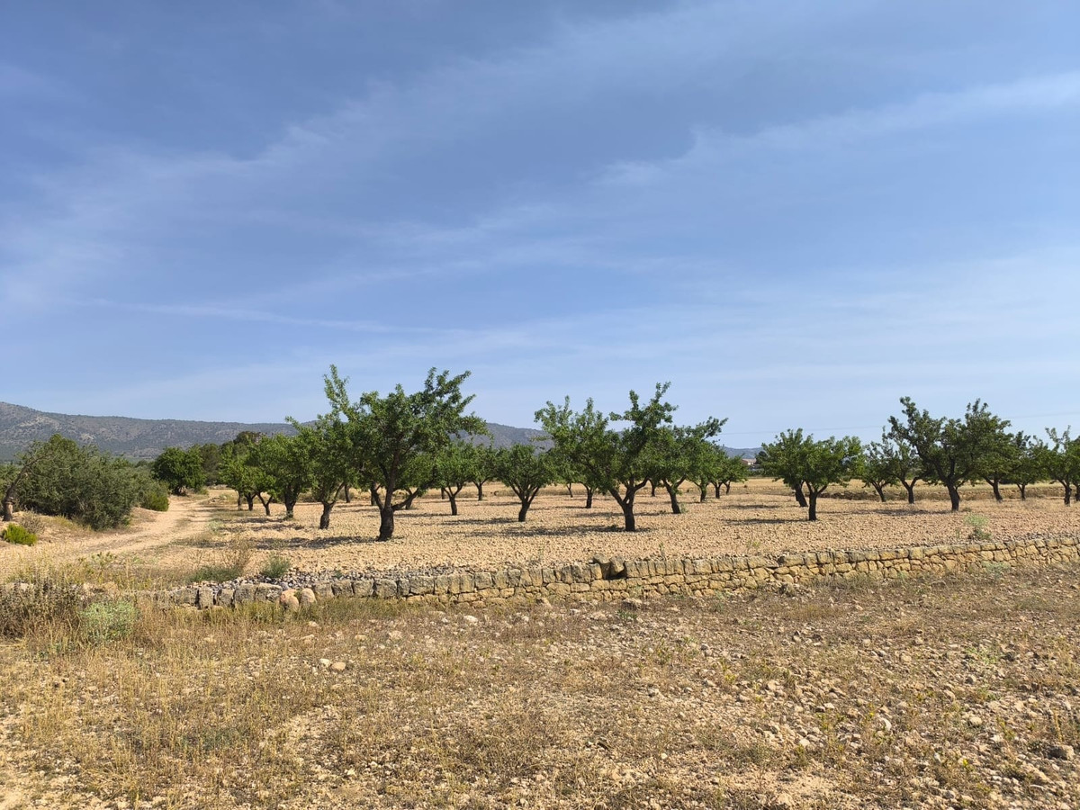 Se vende Terreno Rustico  en Costa Blanca, Alicante, España