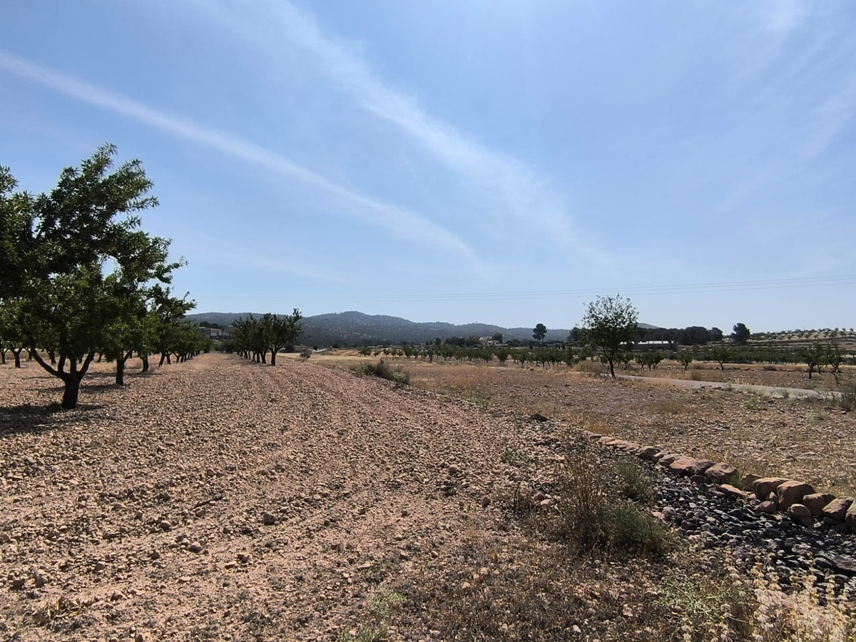 Se vende Terreno Rustico  en Costa Blanca, Alicante, España