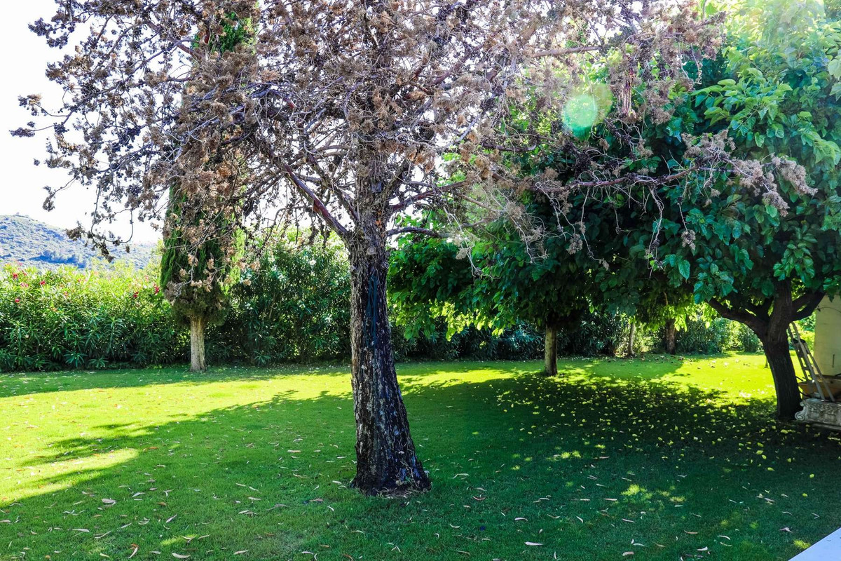 5 Bed Townhouse for sale in Jesús Pobre Costa Blanca, Alicante, Spain