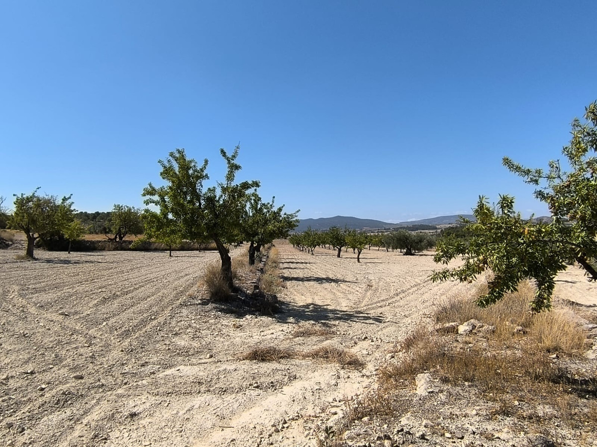 Se vende Terreno Rustico  en Costa Blanca, Alicante, España