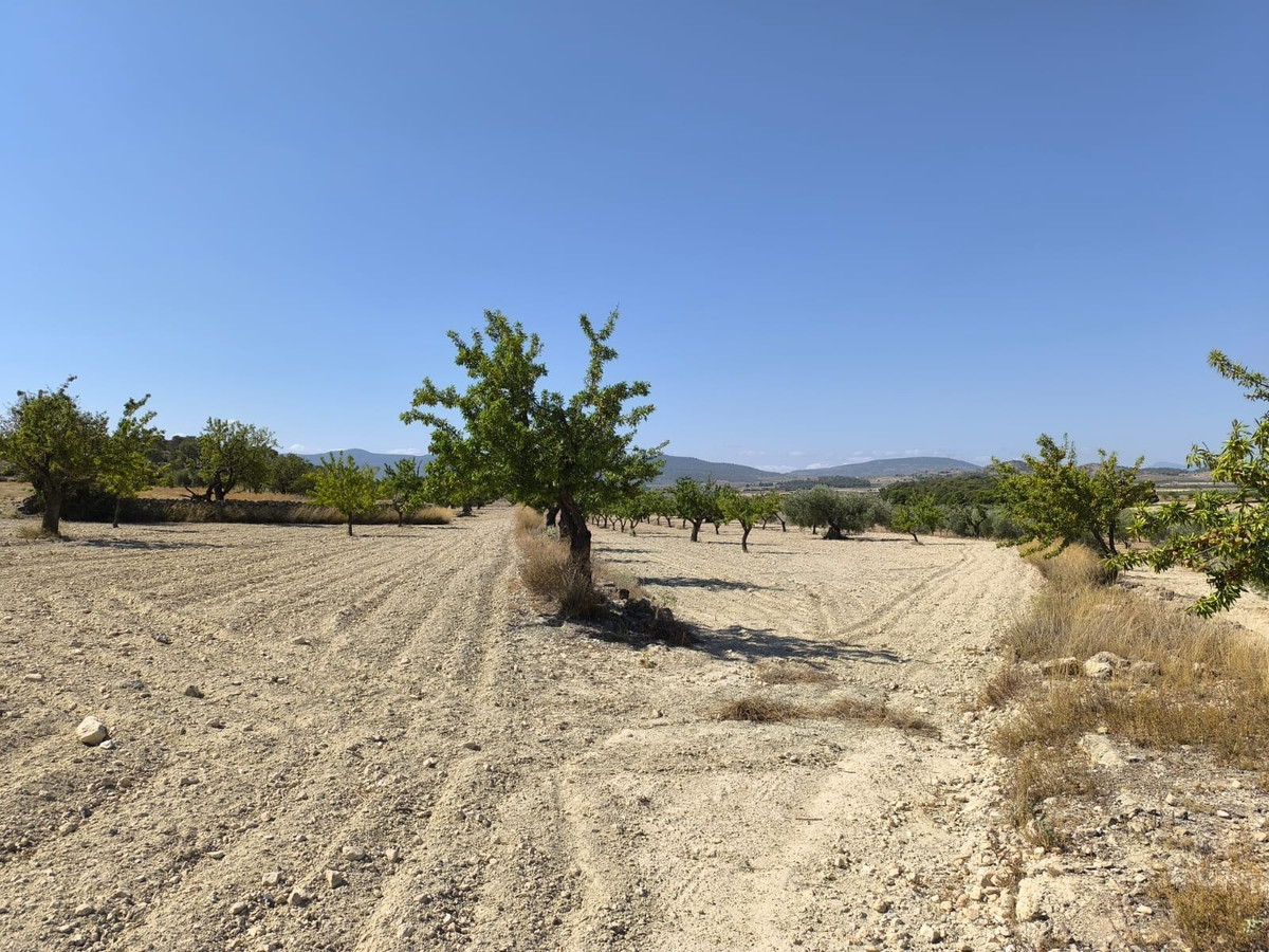 Se vende Terreno Rustico  en Costa Blanca, Alicante, España