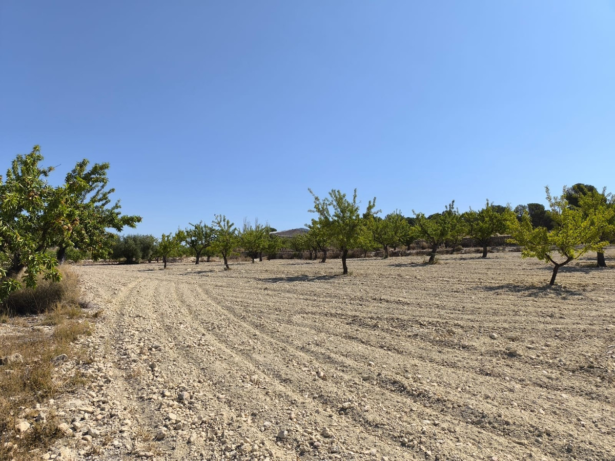 Se vende Terreno Rustico  en Costa Blanca, Alicante, España