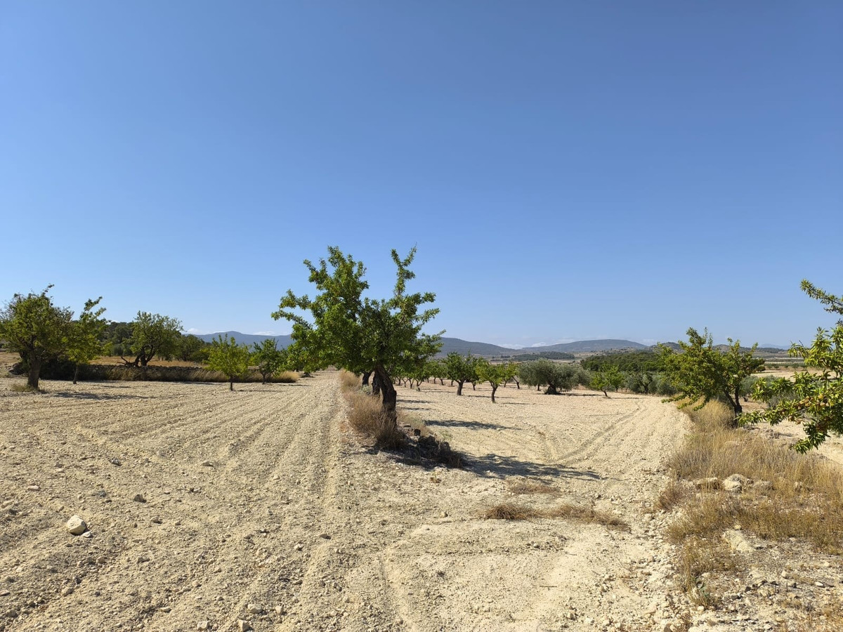 Se vende Terreno Rustico  en Costa Blanca, Alicante, España
