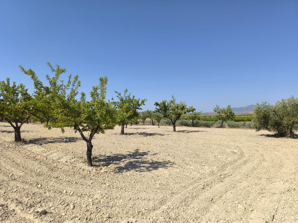 Se vende Terreno Rustico  en Costa Blanca, Alicante, España