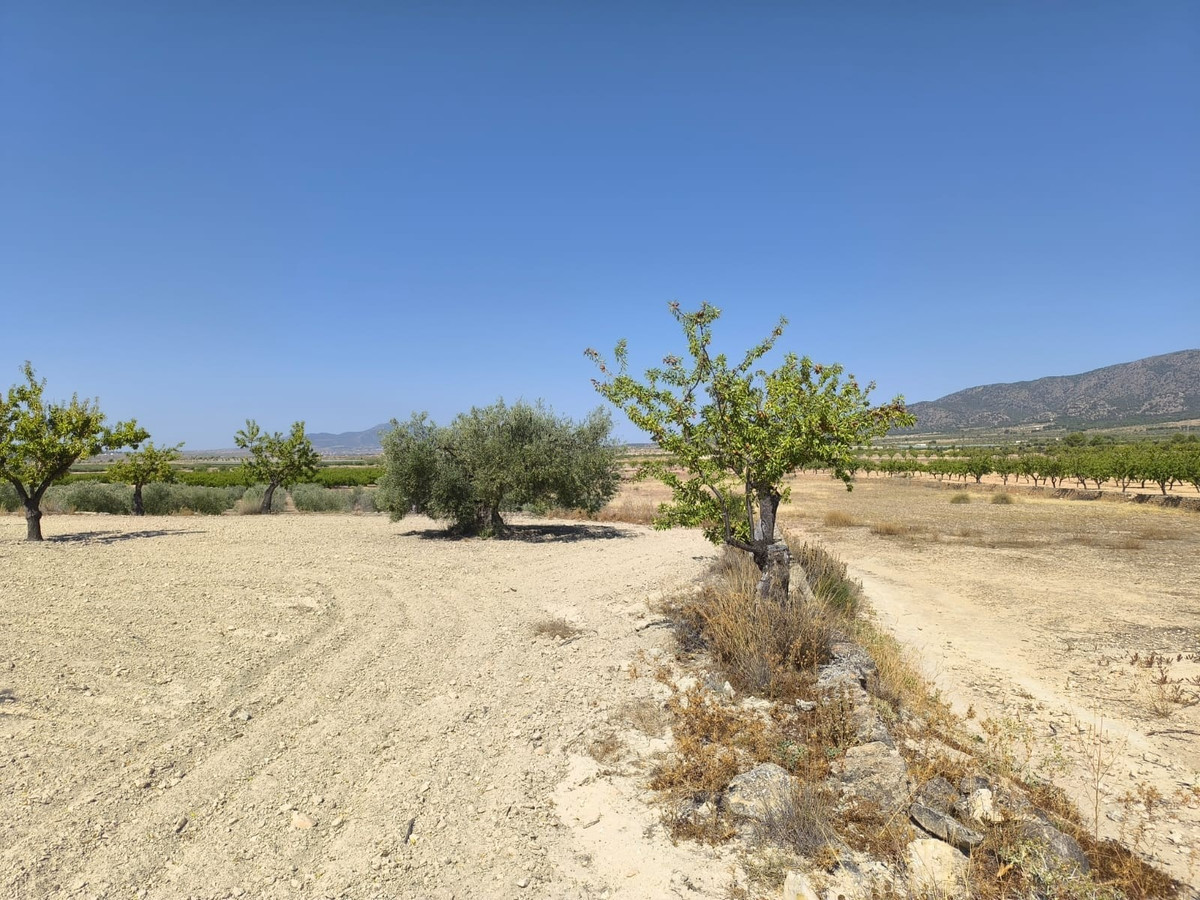 Se vende Terreno Rustico  en Costa Blanca, Alicante, España