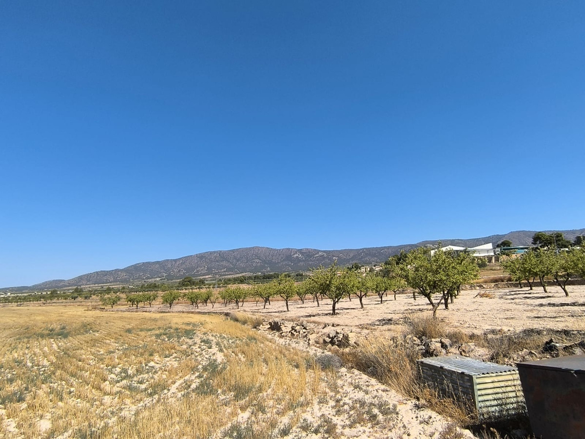 Se vende Terreno Rustico  en Costa Blanca, Alicante, España