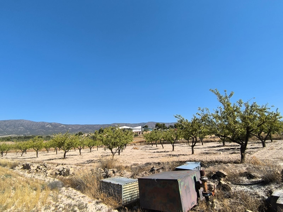 Se vende Terreno Rustico  en Costa Blanca, Alicante, España