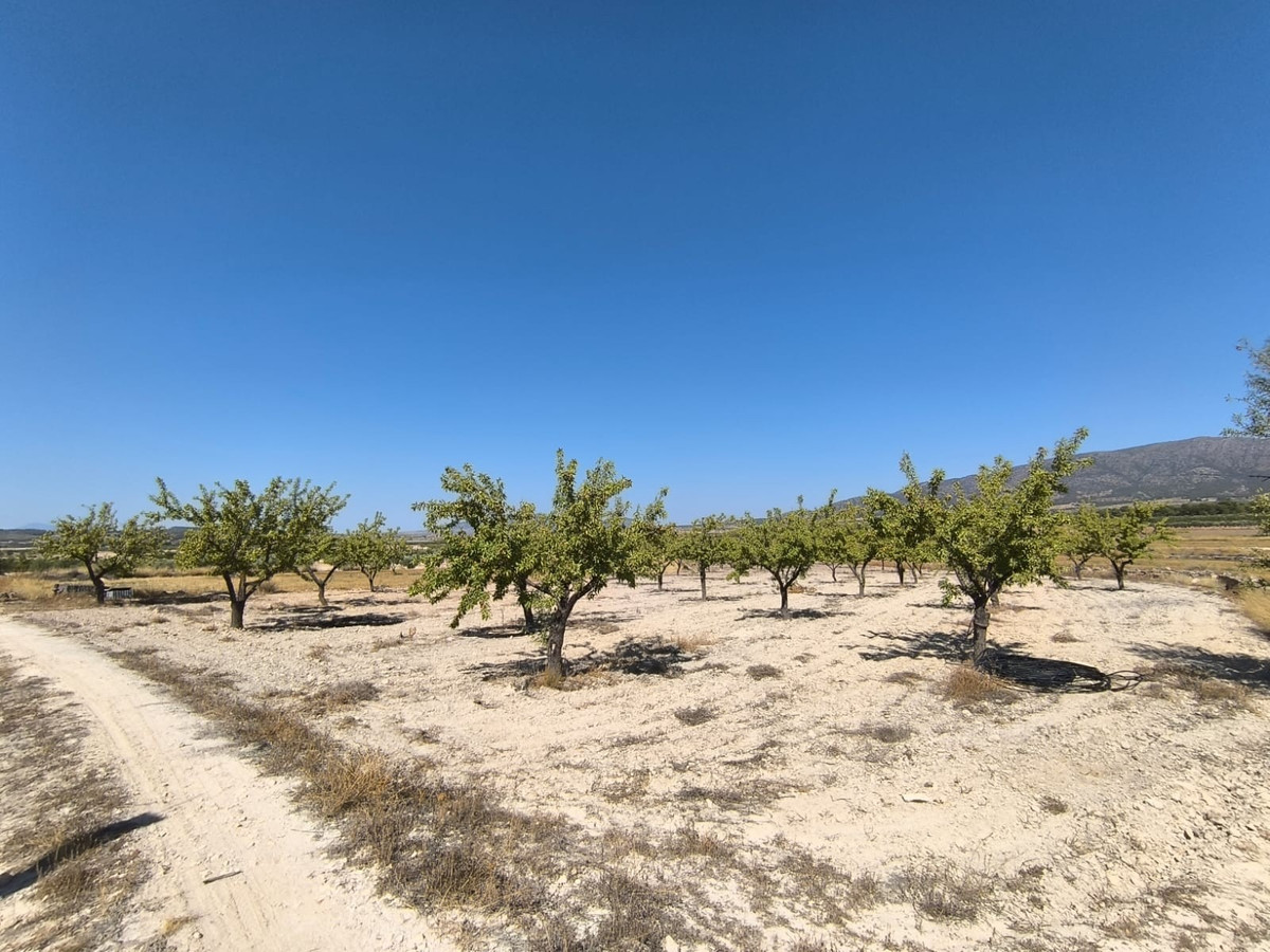 Se vende Terreno Rustico  en Costa Blanca, Alicante, España