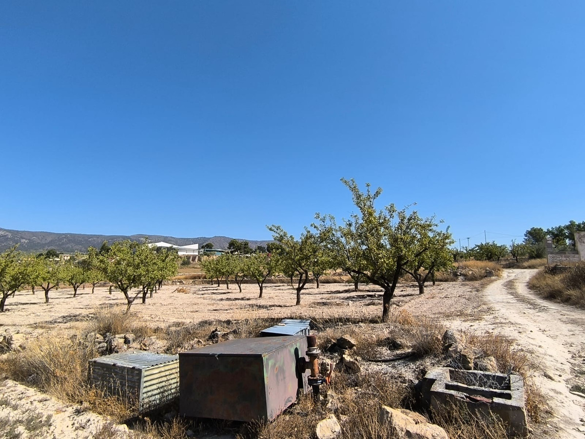 Se vende Terreno Rustico  en Costa Blanca, Alicante, España