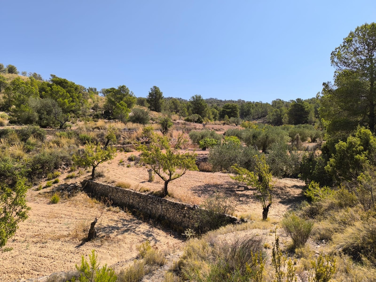 Se vende Terreno Rustico  en Costa Blanca, Alicante, España
