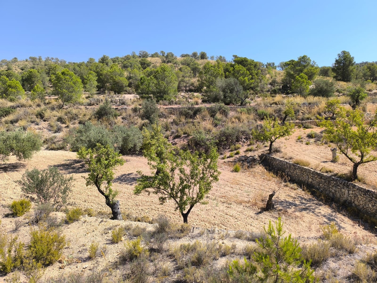 Se vende Terreno Rustico  en Costa Blanca, Alicante, España