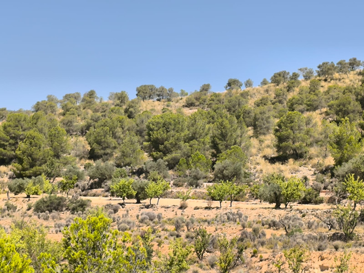 Se vende Terreno Rustico  en Costa Blanca, Alicante, España